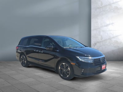2024 Honda Odyssey Elite